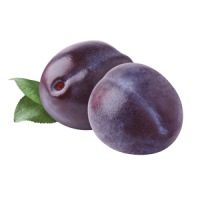 Pflaume